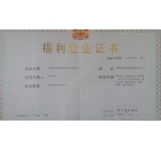 资质
